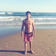 alecipo