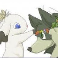 Zorori
