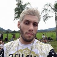 fdjdino