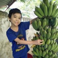 marcoconut