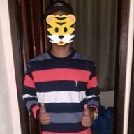 tigre123
