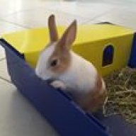 nounche