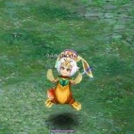 MeowSea