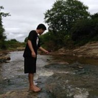 Freelipe