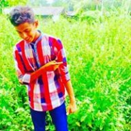 xshazx