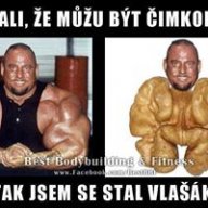 Mozeg