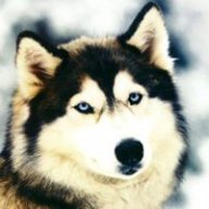 Siberhecy