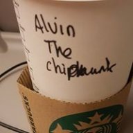 alvlio