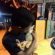 haffizi01