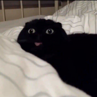 xkubekx