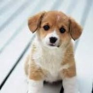 Eronix