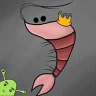 Shrimplorde