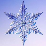 leydey