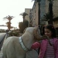 MOUMOU