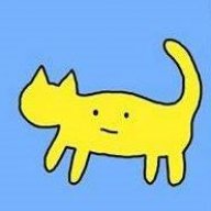 sleyn