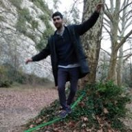 theBigTree