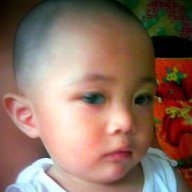 trayner21