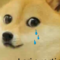 drvo123