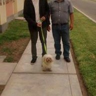 Trueno