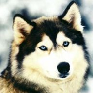 vashimonpl