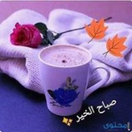 mohad