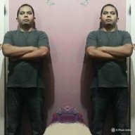 damiao0101