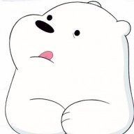 Bear1508