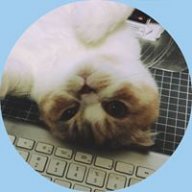 jacky1217