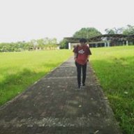 Whydi
