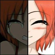 FeyShintesisThirteen
