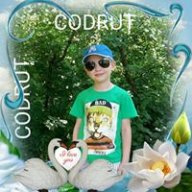 codru123