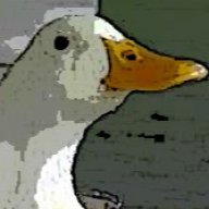 BaldyBob