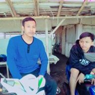Alvrely