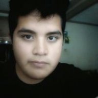 yorlox1