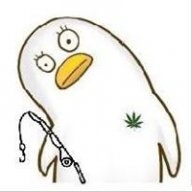 WEEDkarzPL