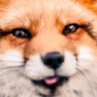 ihavenofriendssorryX2