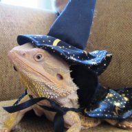 lampdemon