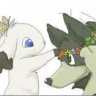 Zorori