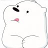 Bear1508