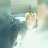 jpsstar16