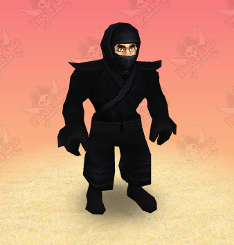 carsise-ninja.png