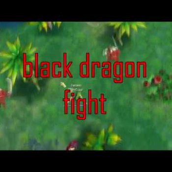 Black Dragon PK